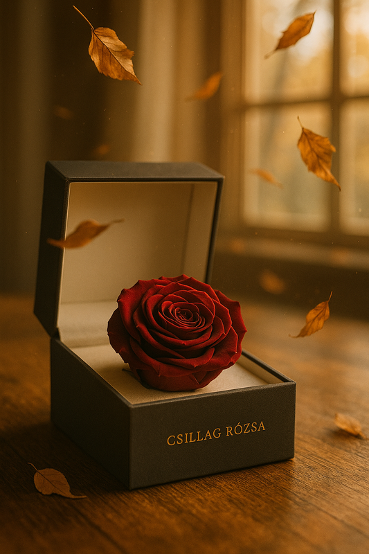 Őszi varázslat – a Csillag Rózsa, amely soha nem hervad el