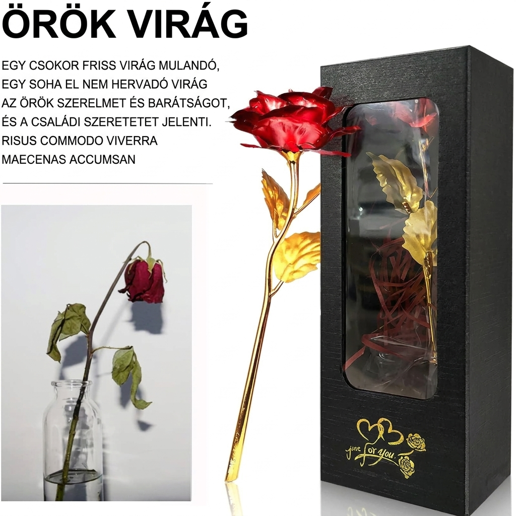 Örök Virág 24K aranyozott rózsa elegáns díszdobozban — hervadt friss rózsa mellette a kontraszthoz