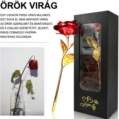 Örök Virág 24K aranyozott rózsa elegáns díszdobozban — hervadt friss rózsa mellette a kontraszthoz